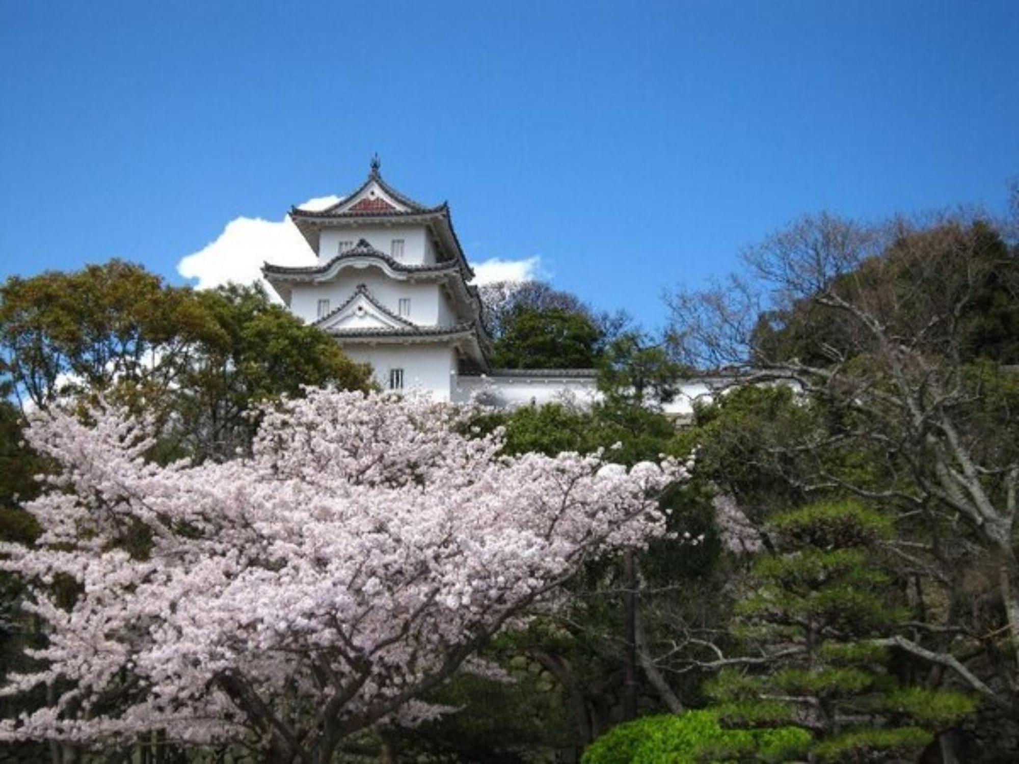 Akashi Castle Hotel - Vacation Stay 83571 Dış mekan fotoğraf